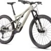 Stumpjumper Expert Specialized 2022 Gloss White Mountains/Gunmetal