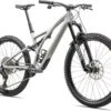 Stumpjumper LTD Specialized 2023 Satin Dove Grey/Smoke